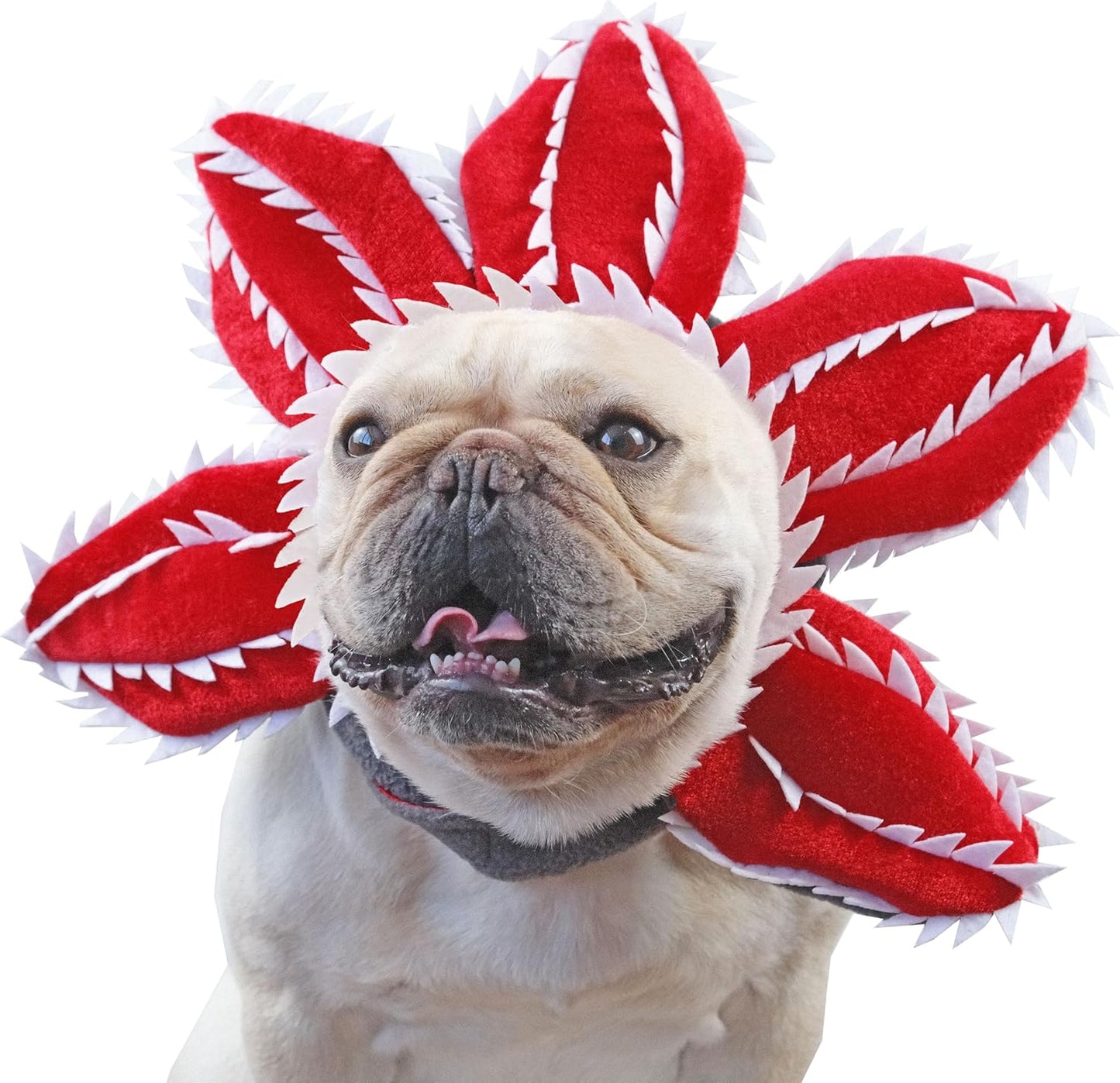 Demogrowl™ Funny Dog Flower Costume Hat